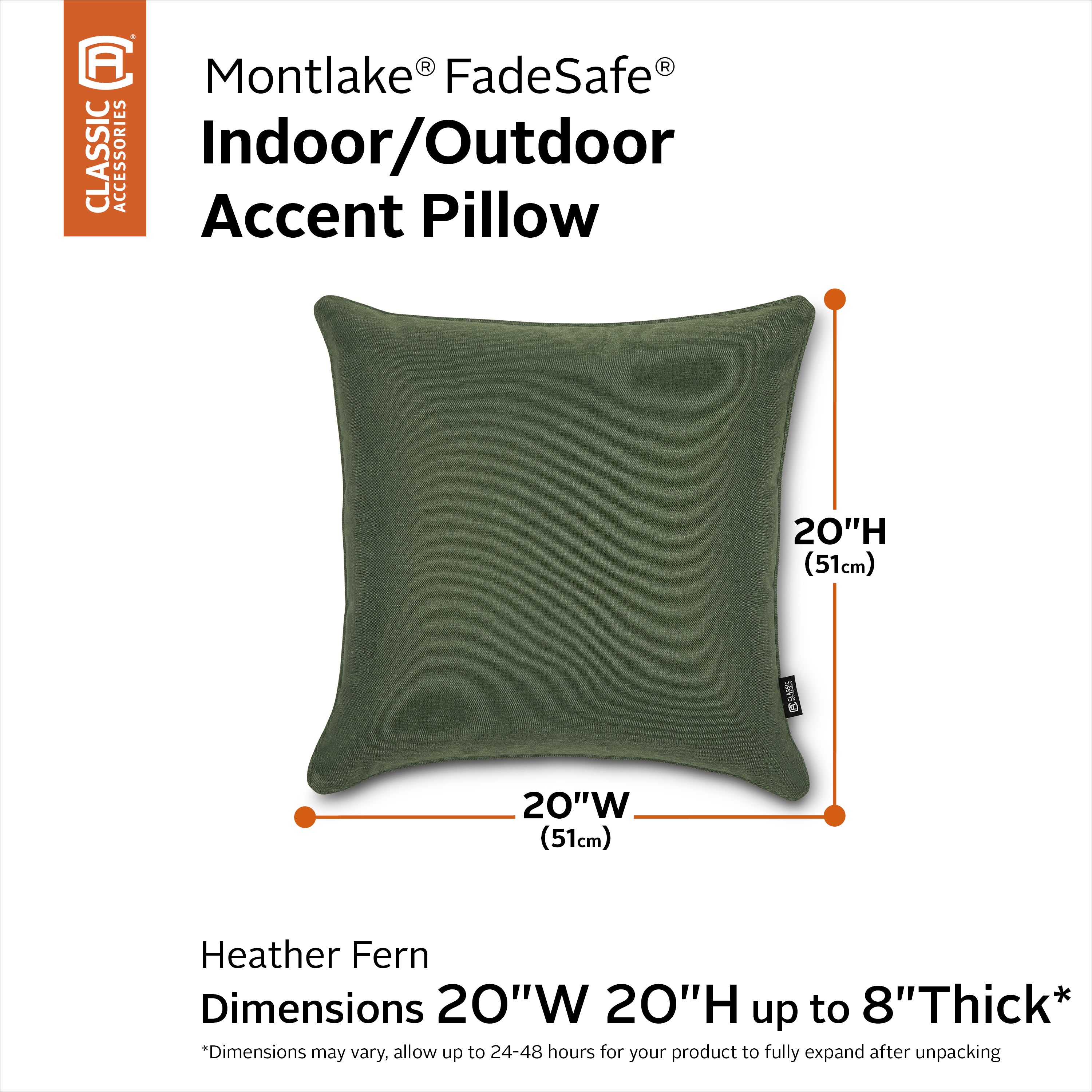 Montlake_AccentPillow_20x20x8_Fern_SizingGraphic_56-472.jpg