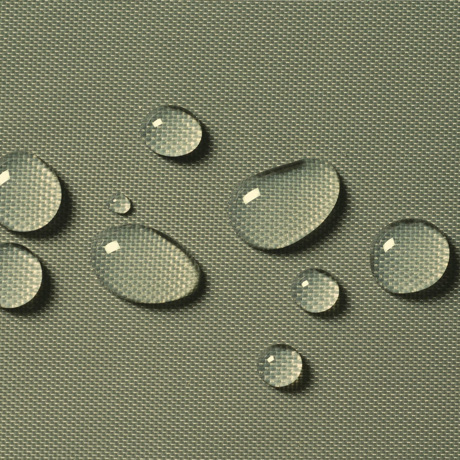 73910_h2.jpg