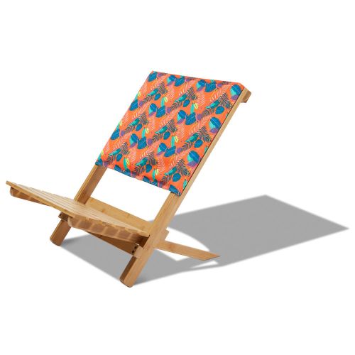 Beach Chair