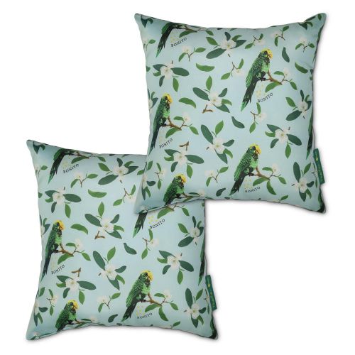 Frida Kahlo x Classic Accessories Accent Pillows, 2-Pack, 18 Inch, Bonito Verde